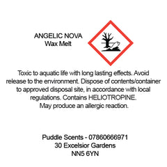 Angelic Nova Wax Melts