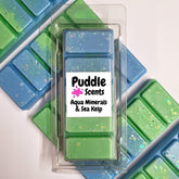 Aqua Minerals & Sea Kelp Wax Melts