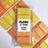 Autumn Leaves Wax Melts