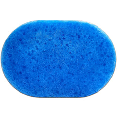 Snowglobe Soap Sponges