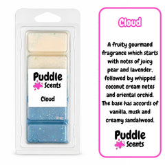 Cloud Wax Melts