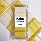 Daisy Wax Melts