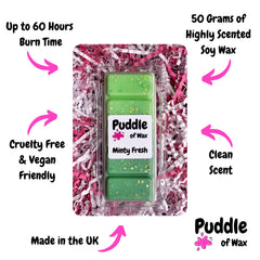 Minty Fresh Wax Melts