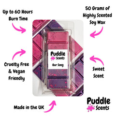 Our Song Wax Melts