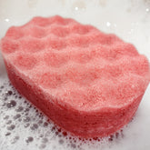 Black Cherry Soap Sponges