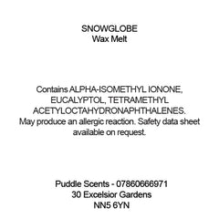 Snowglobe Wax Melts