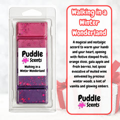 Walking In A Winter Wonderland Wax Melts