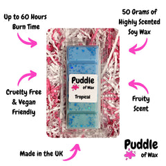 Tropical Wax Melts