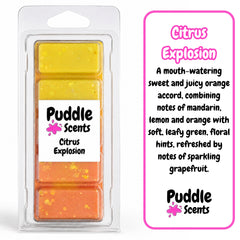 Citrus Explosion Wax Melts