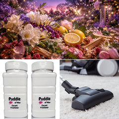 Fairy Sparkle Carpet Freshener