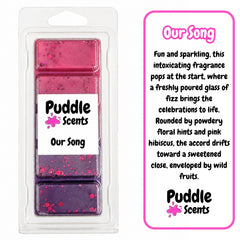 Our Song Wax Melts