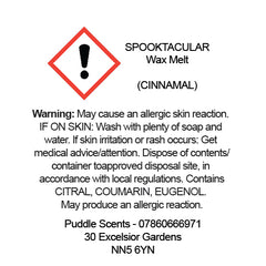Spooktacular Wax Melts