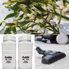Snowberry & Mistletoe Carpet Freshener
